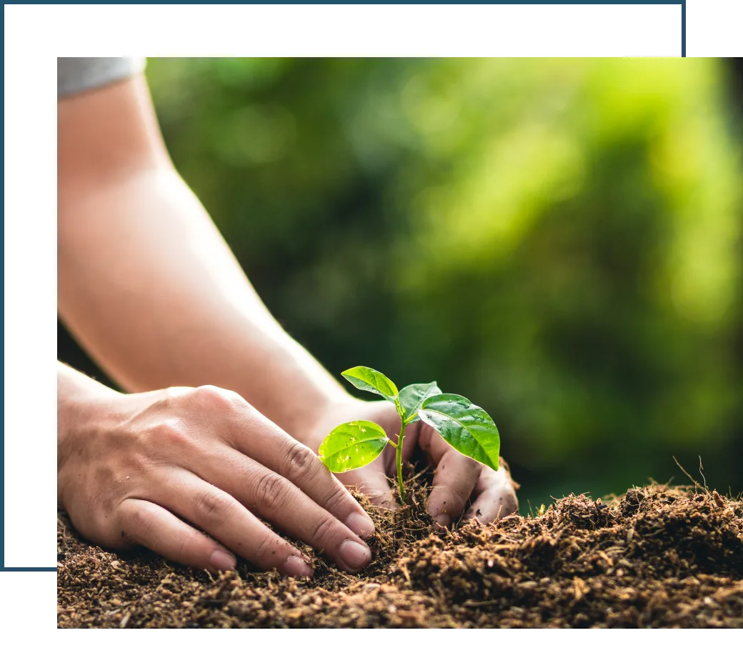 Agriculture and Fertilizer Industry by Tradeasia